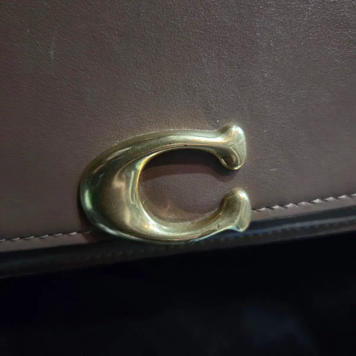 コーチ 밴ディット