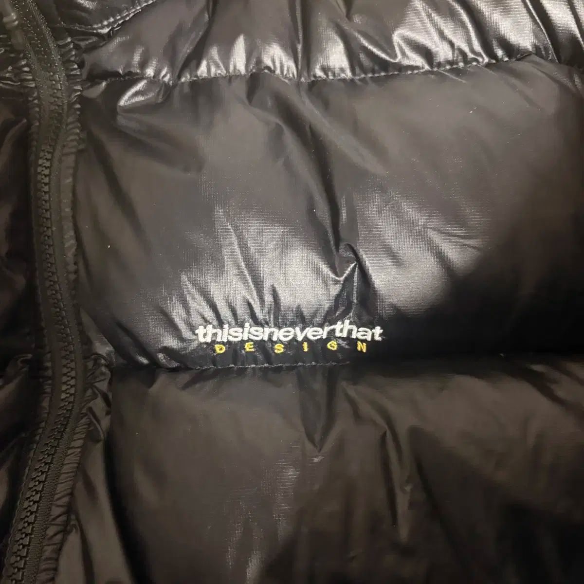 24fw ディスイズネバーザット dsn ダウン ショートダウン