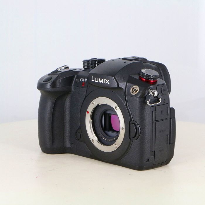 パナソニック Panasonic DC-GH5M2