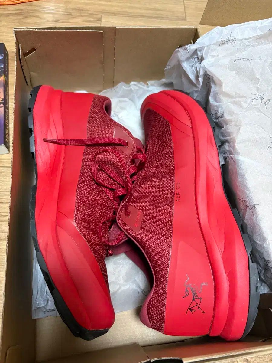 アークテリクス エアリウス GTX 280