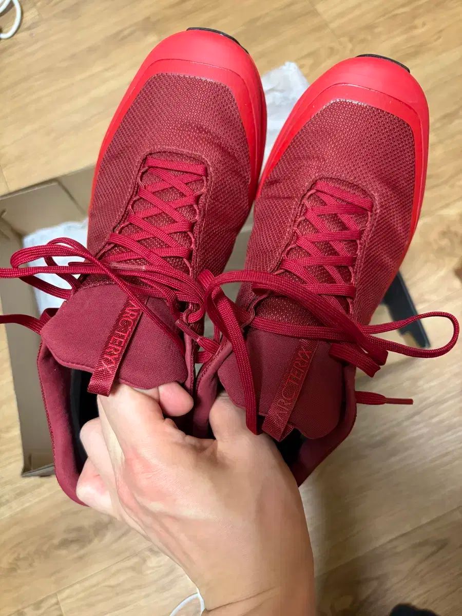 アークテリクス エアリウス GTX 280