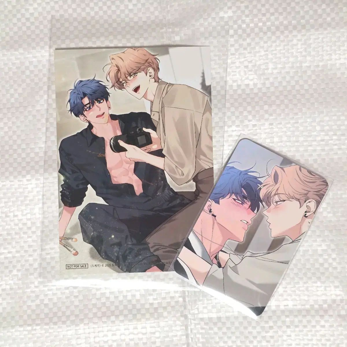 スケッチ ヘザー プリント写真 特典