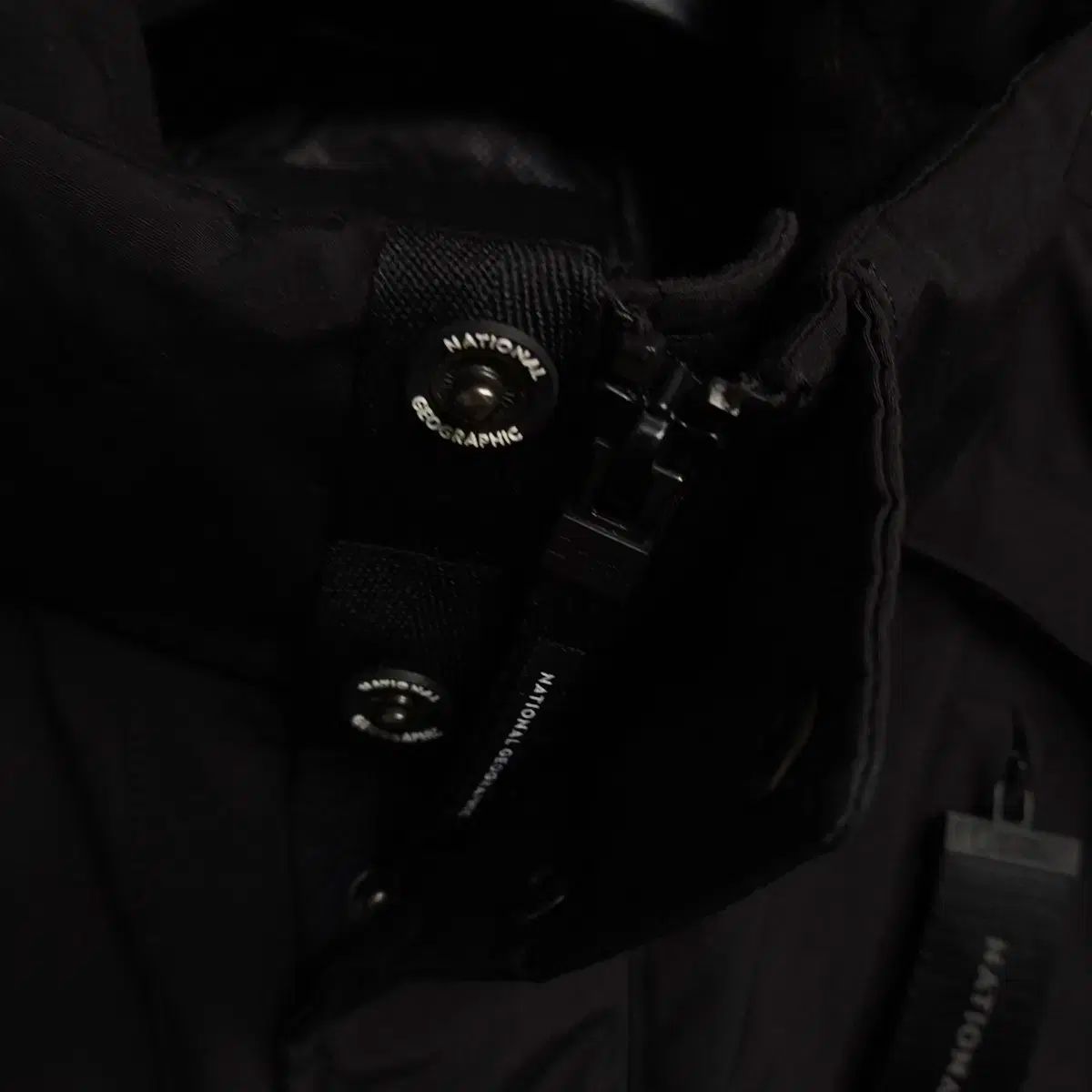 ナショナルジオグラフィック