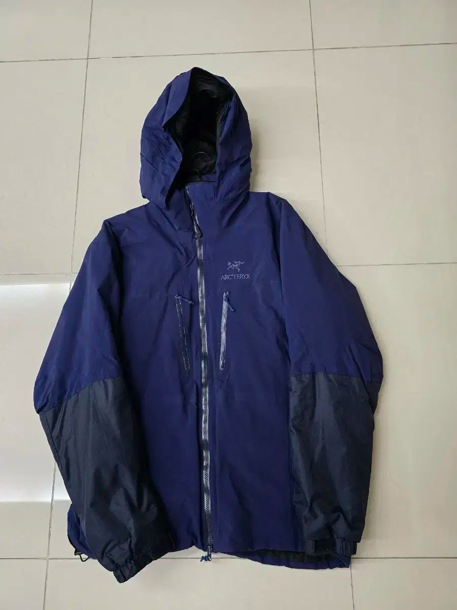 ARC TERYX アークテリクス フィション SV L