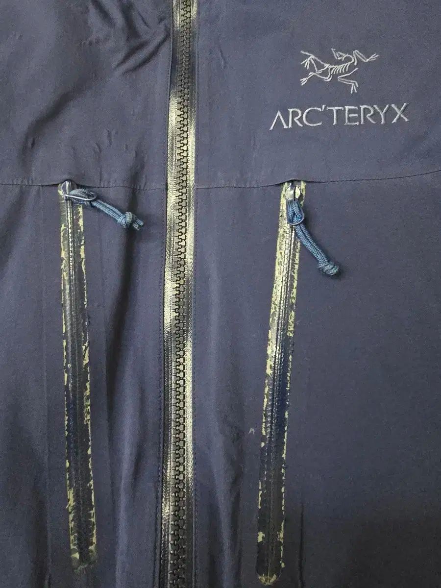 ARC TERYX アークテリクス フィション SV L