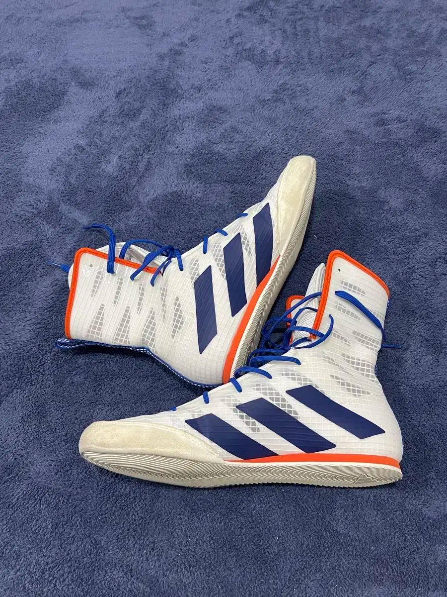 ホグ4 ボクシング