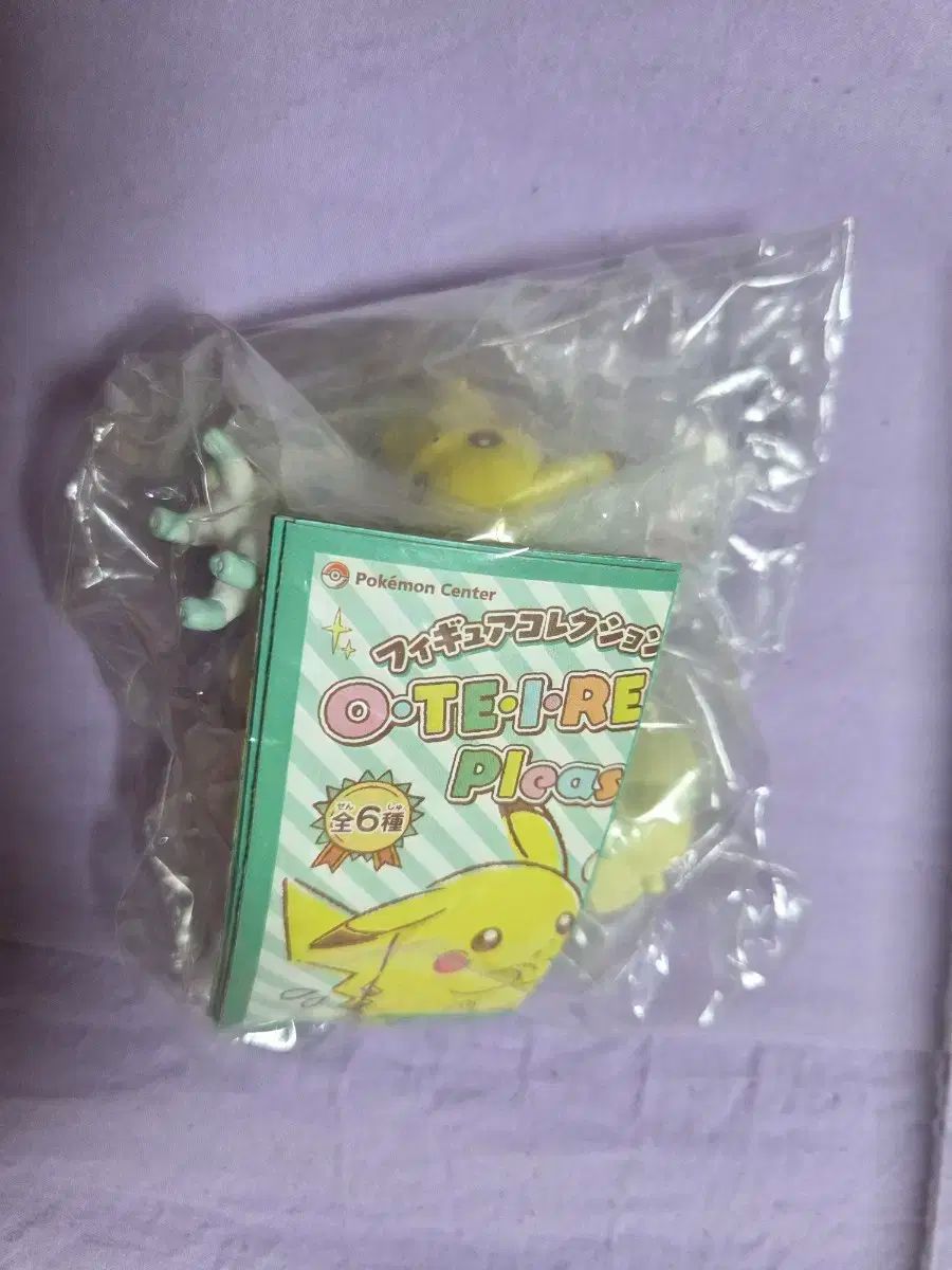 お手入れポケットモンスター ガチャフルセット