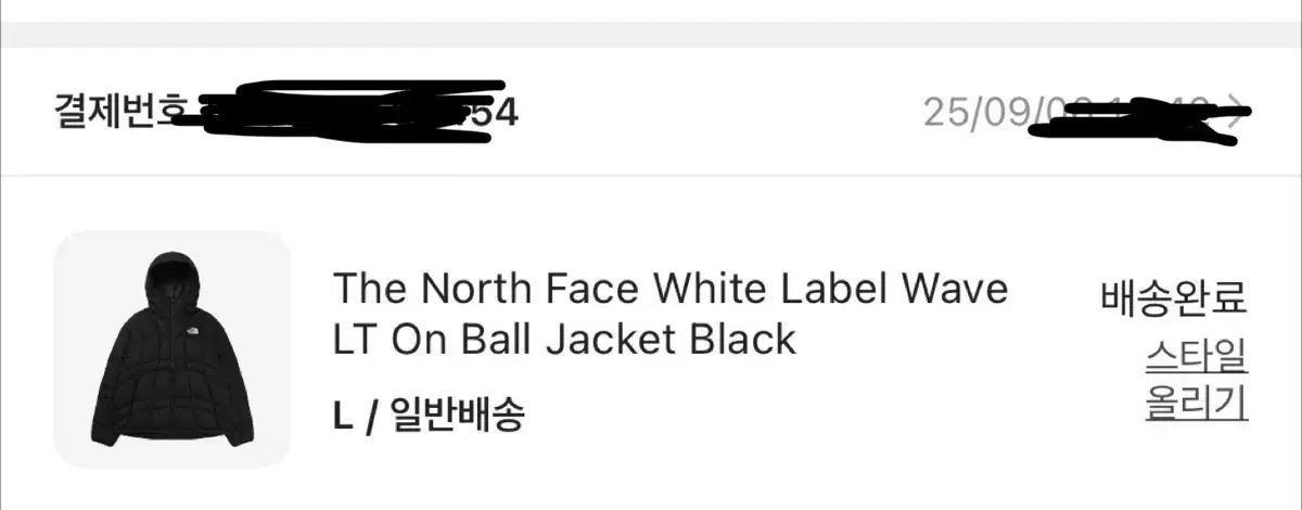 ノースフェイス ウェーブ lt 単 ジャケット