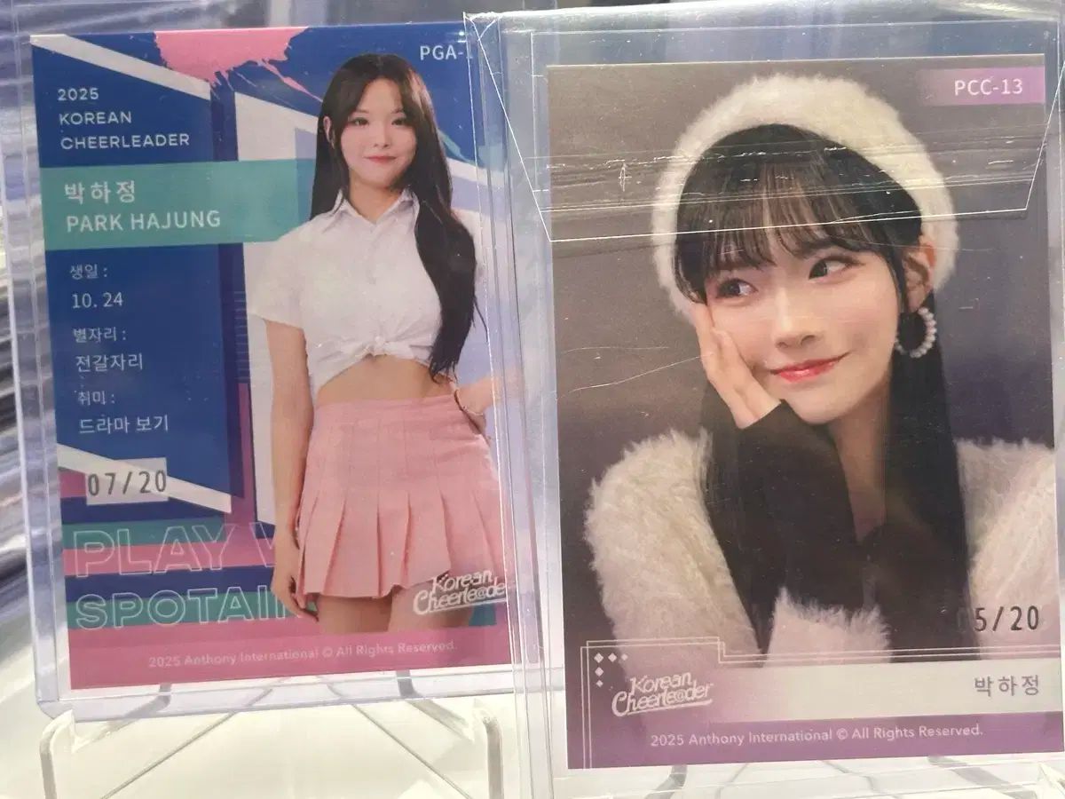 2025 韓国チアリーダー パク ハジョン 組 ラット