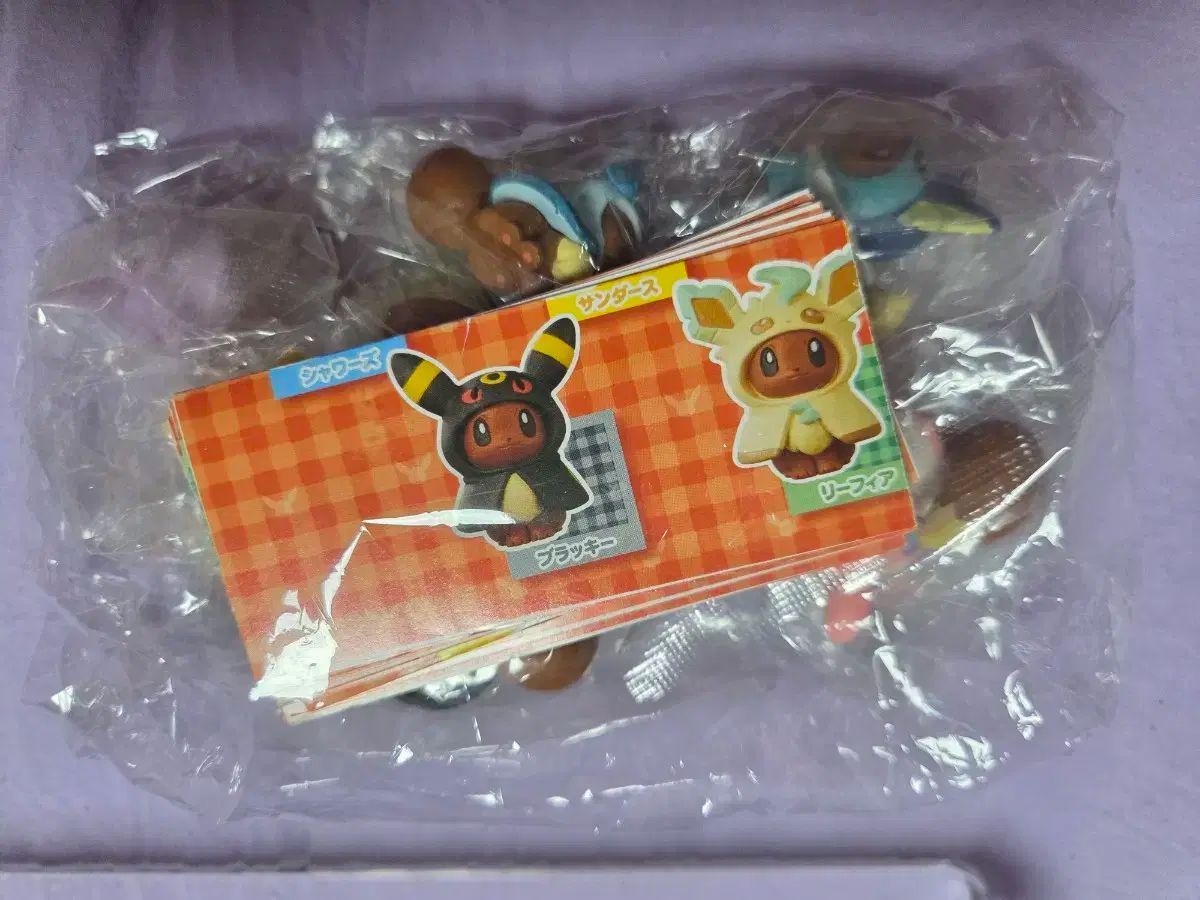 ポンチョ イーブイ ポケモンセンター フルセット