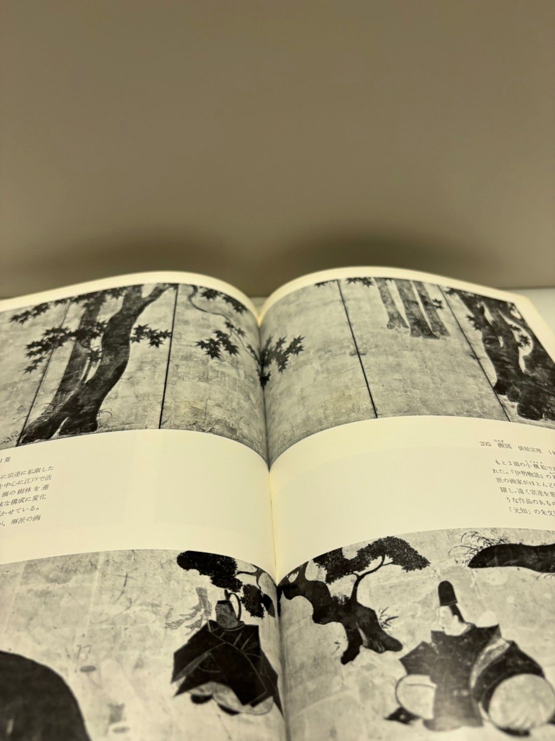 創立百年記念特別展図録　琳派 琳派 創立百年記念特別展 目録 - メルカリ