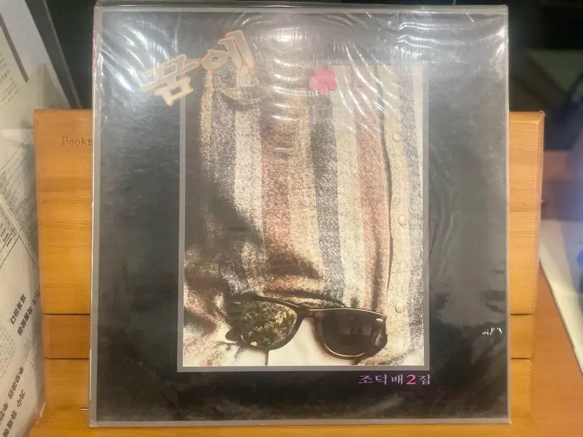 LP チョ ドクベ 2 家 ー 夢の中で