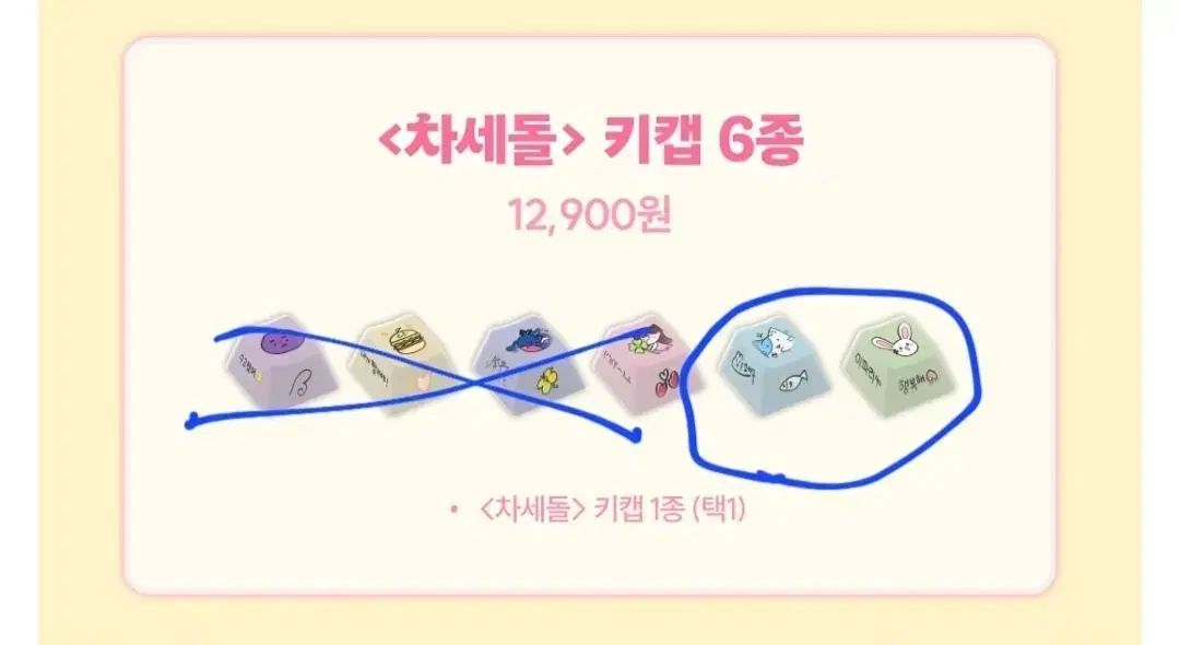 ISEGYE IDOL イセドル チャセドル tumblbug オールインワン