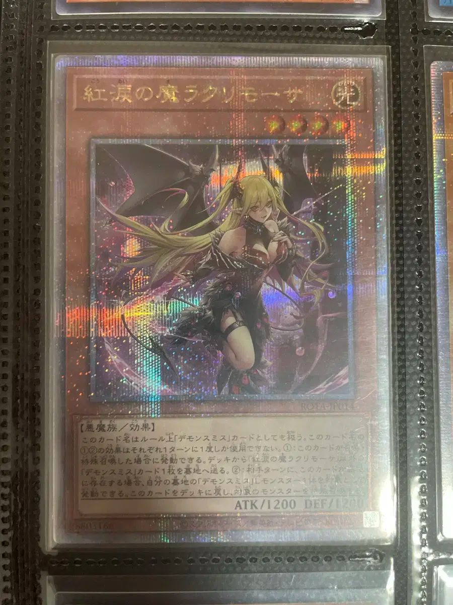 紅 ホン ルーの麻 マ ラクリモサ 一般版 イッパンハン タン圧x