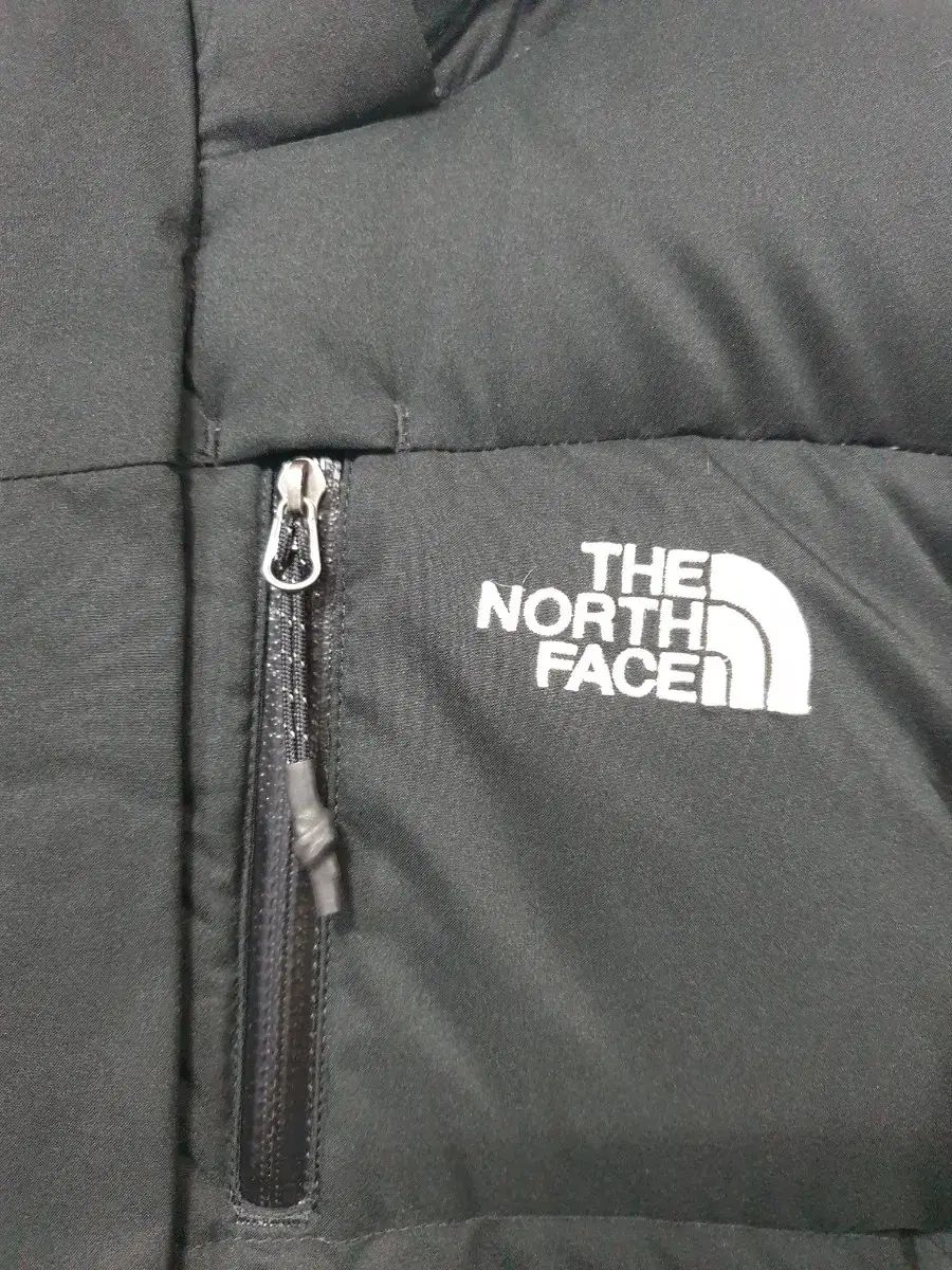 FACE ザノースフェイス