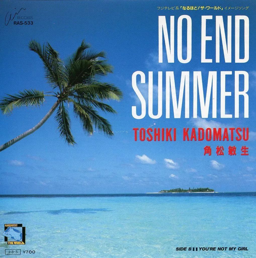 角松敏生　【中古レコード】 角松敏生 summer time romance レコード - メルカリ