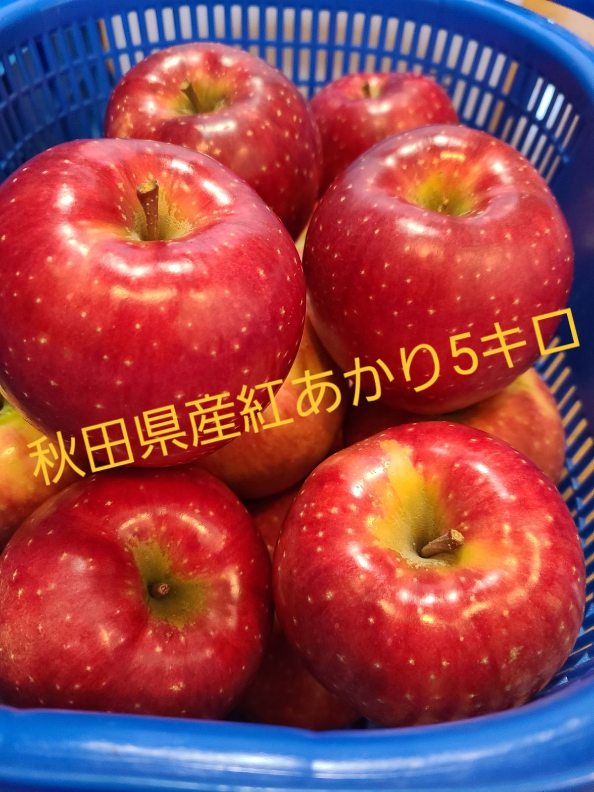 鹿角産 紅あかり5キロ 秋田県産 家庭用 良品