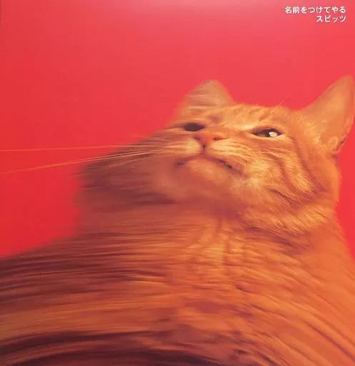 LPレコード スピッツ 名前をつけてやる 重量盤
