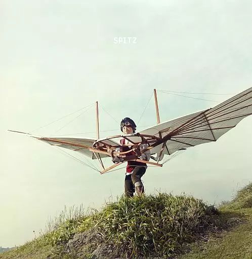 【】LPレコード スピッツ / 小さな生き物[重量盤]