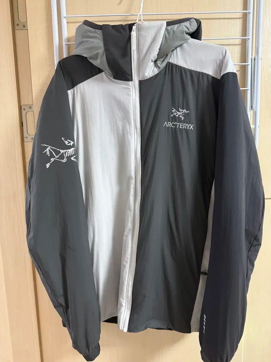 アークテリクス × ビームス Atom Mサイズ