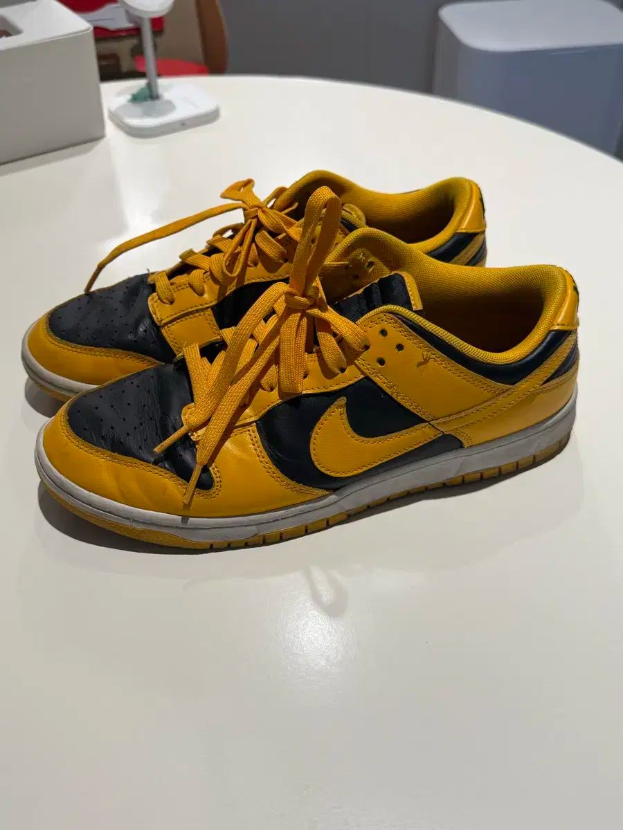 ナイキ ダンクロー ゴールデンロード 280