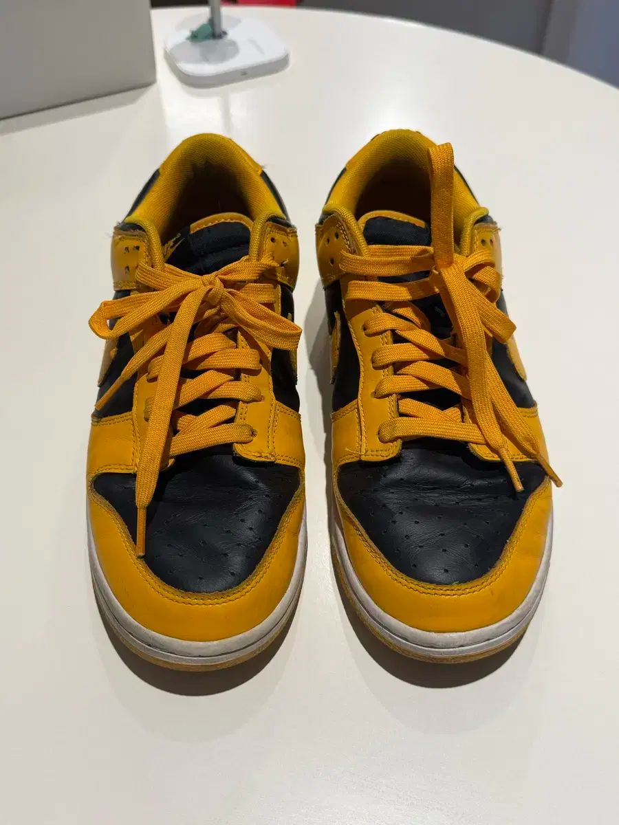 ナイキ ダンクロー ゴールデンロード 280