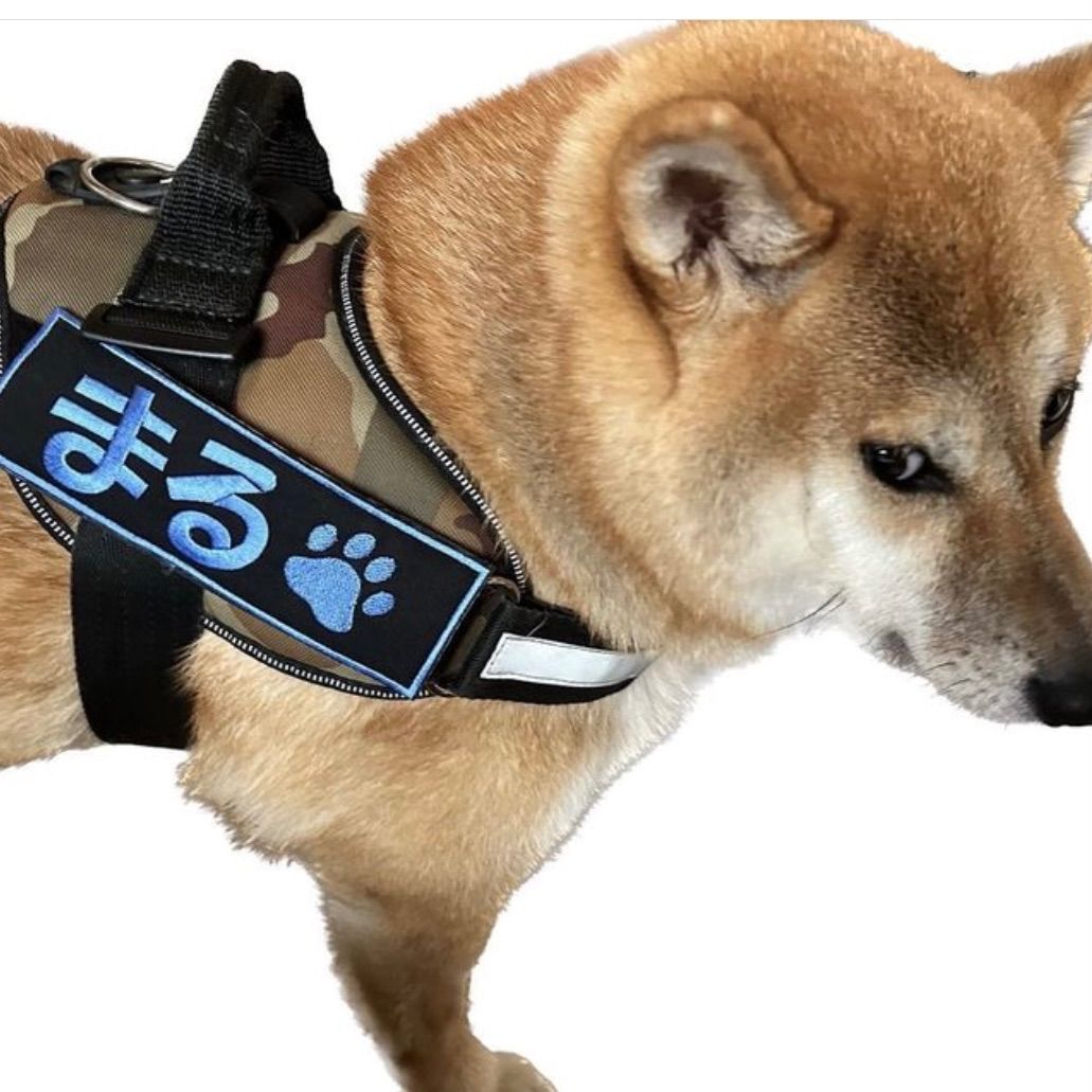 Julius-K9 キロナイアー 対応ネームタグ 安心のイメージ確認サービス付