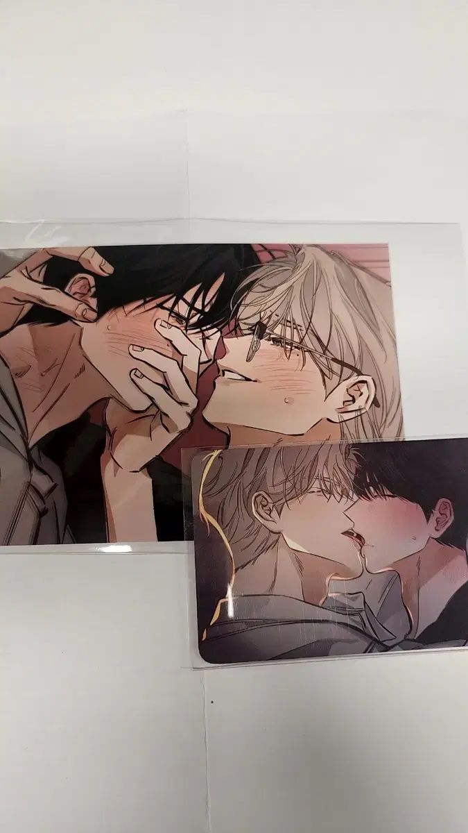 春툰 HOME パーティー ポップアップ STAGE BEHIND ステビ スキンシップ トレカ 特典 セット