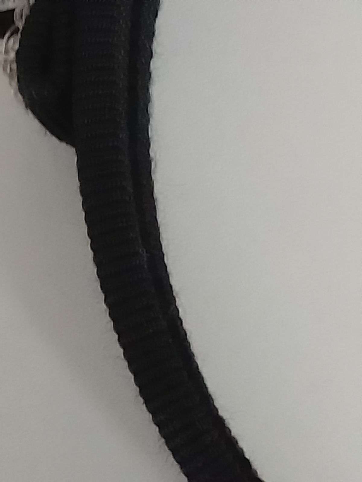 サルヴァトーレフェラガモ