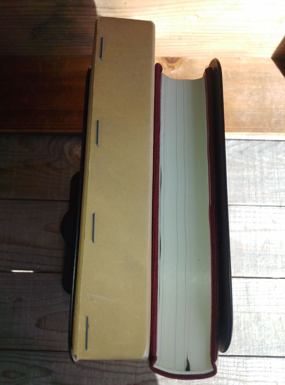 身高クラブ活動六十年 青春の日々の記録 山梨県立身延高等学校 若葉会 昭和58年