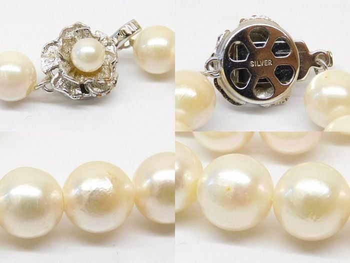 約8.5ｍｍ レディース