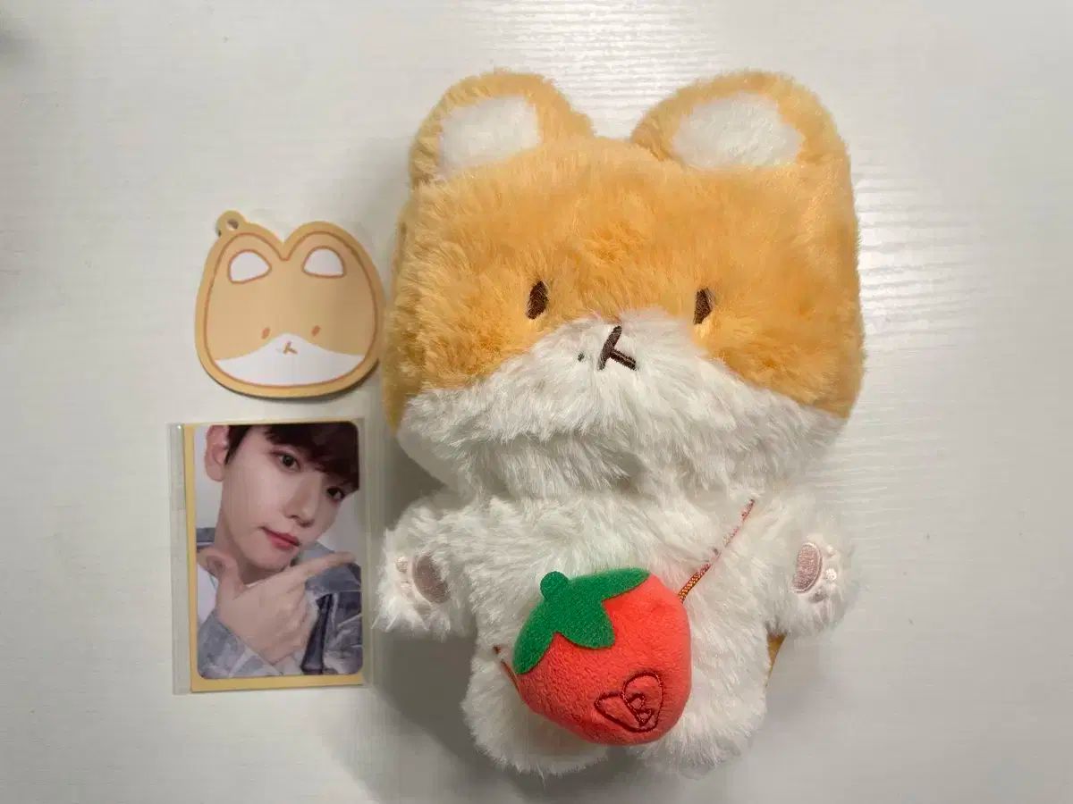 ベクヒョン 20cm トレギ TEOLAEGI