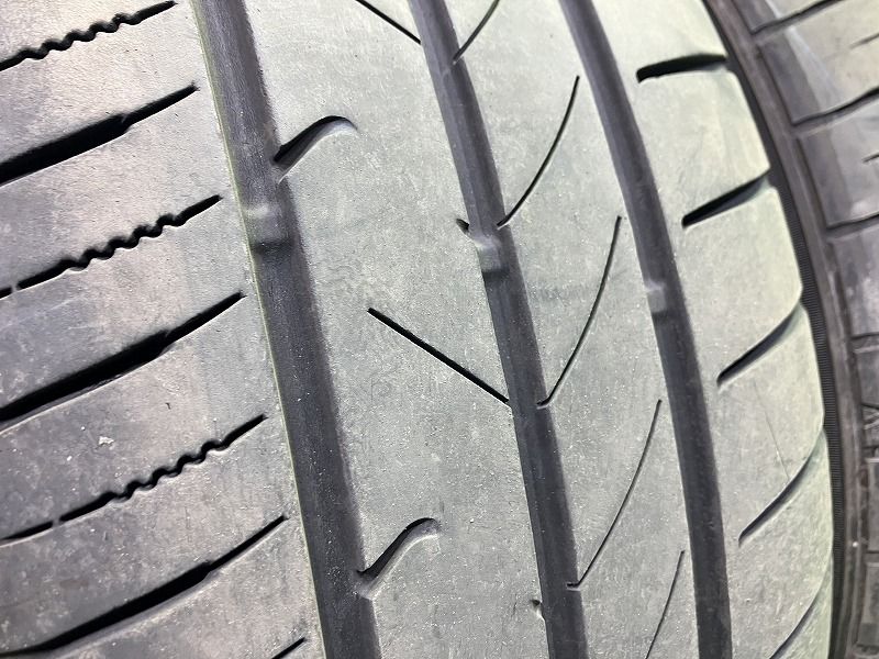 サマー トーヨー