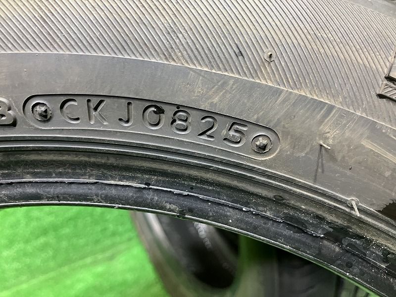 サマー セイバーリング