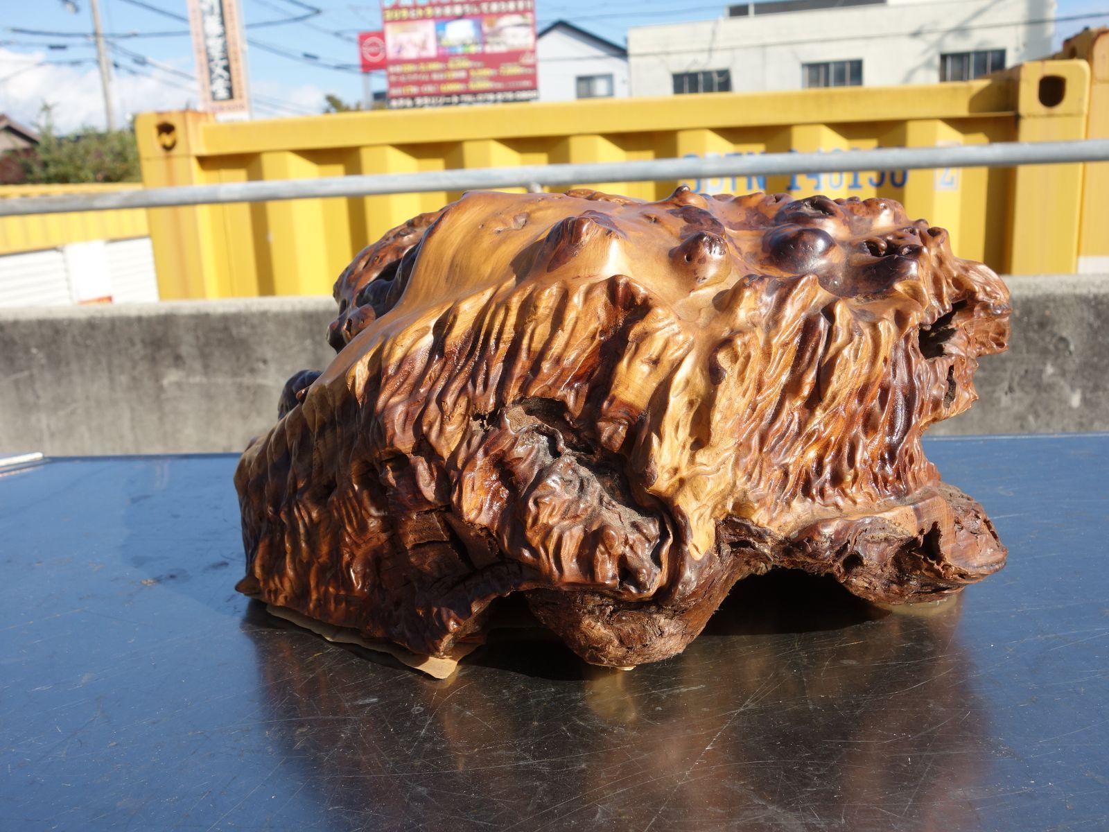 M▽獅子 狛犬 シーサー 天然木 木彫り 木製 置物 (38930) 【公式通販】
