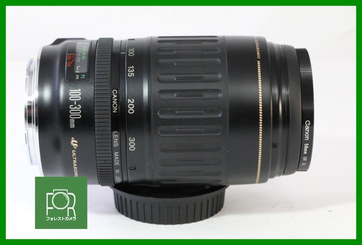 点検済 上品 キヤノン Canon EF 100-300mm F4.5-5.6 USM 前後キャップ付き 5640