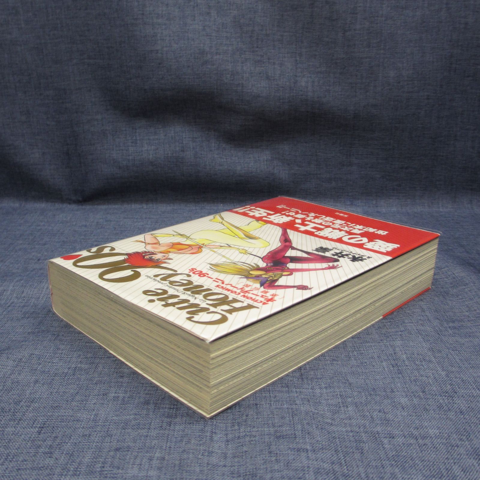 215-b キューティーハニー90's激闘伝説 (アクションコミックス