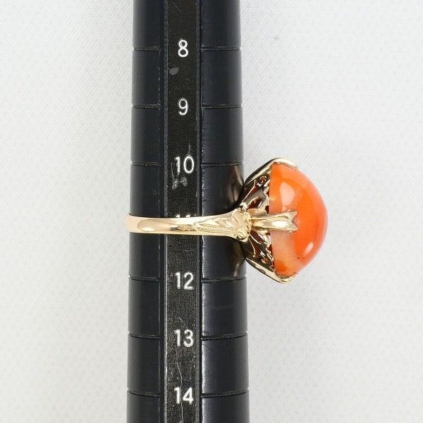 サンゴ 総重量約4.0