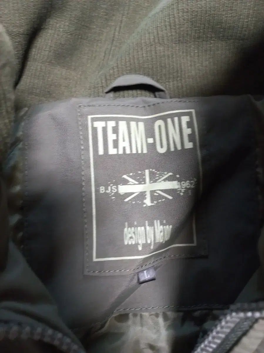 TEAM-ONE マウンテンダウンジャケットアウターL