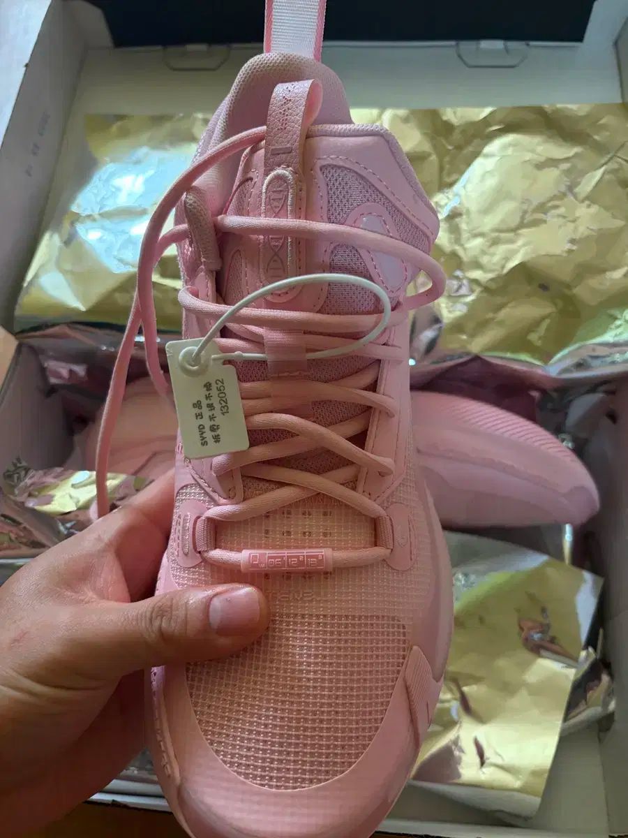  ワウ10ロウ wow 10ロウ 260 シューズ(男性用) バスケットボール