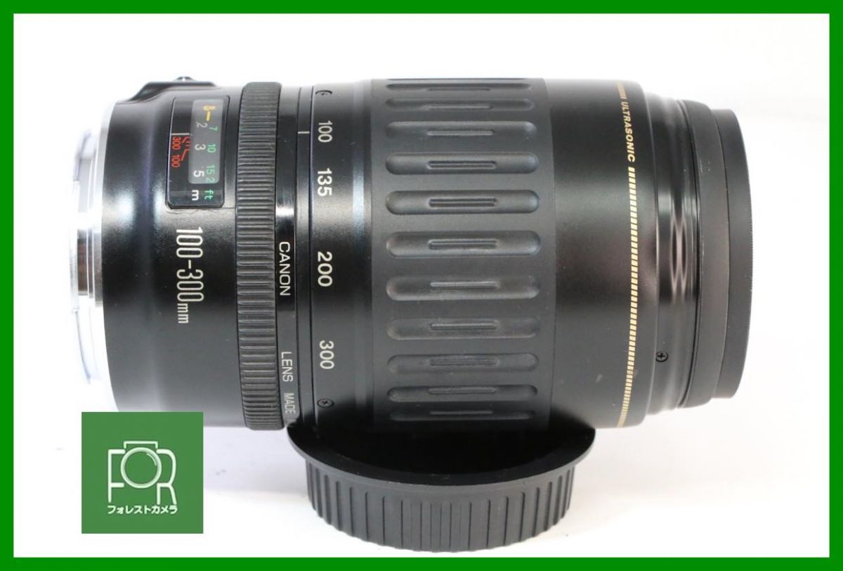 点検済 Canon ZOOM LENS EF 100-300mm F4.5-5.6 前後キャップ フィルター フード付き 14374