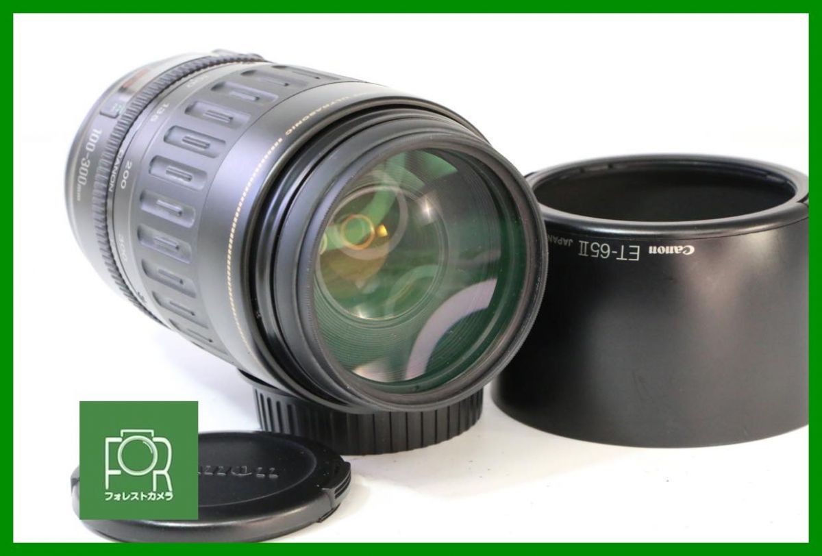 点検済 Canon ZOOM LENS EF 100-300mm F4.5-5.6 前後キャップ フィルター フード付き 14374