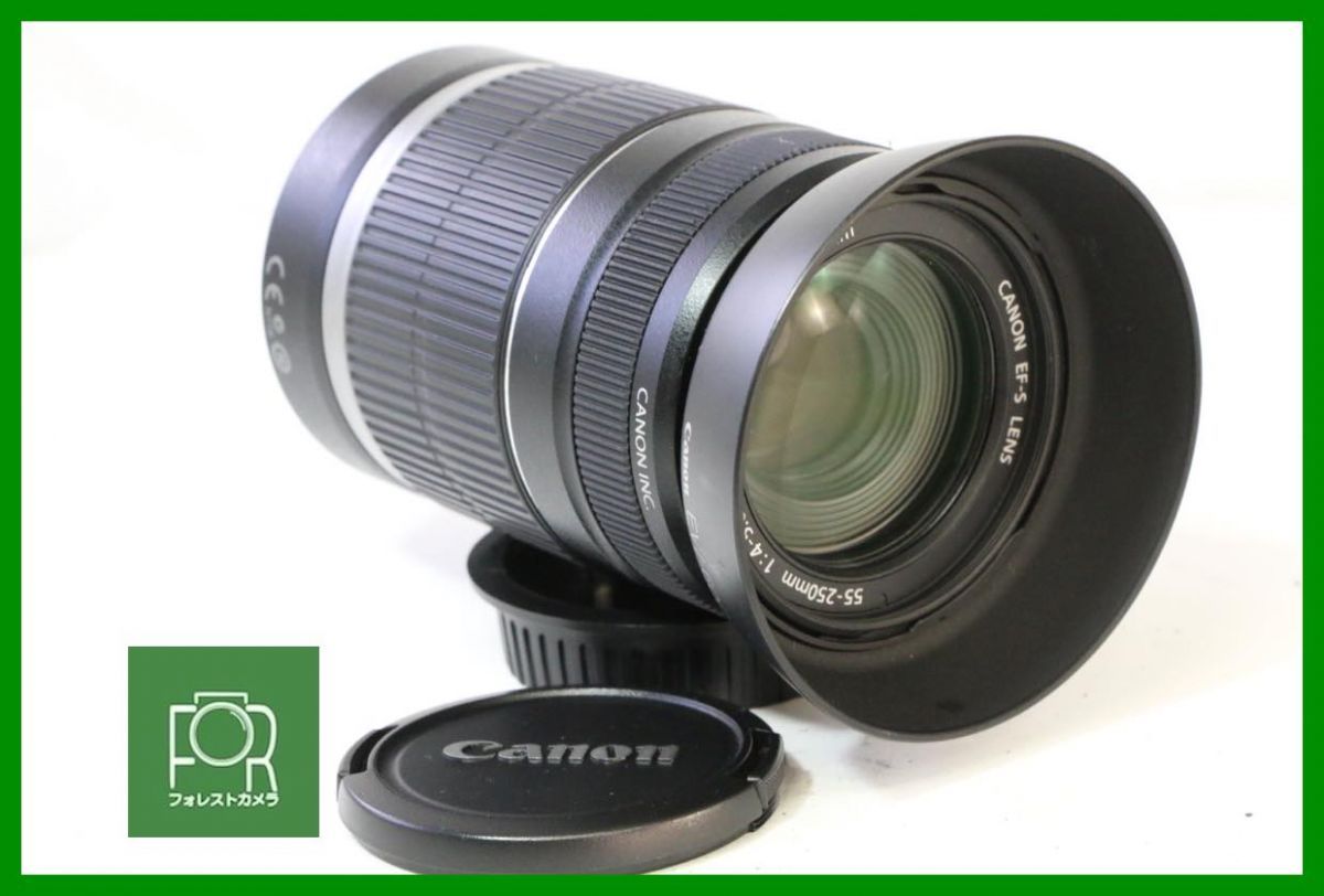点検済 Canon EF S 55 250 mm F 4 5 6 IS 前後キャップ フード付き 15414