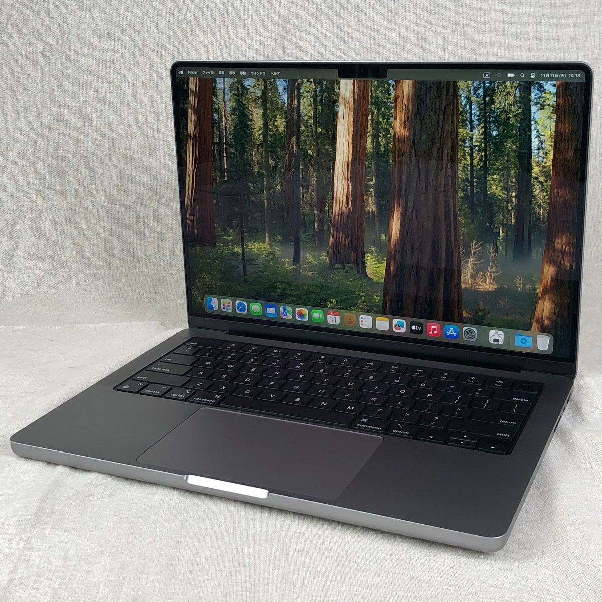 Pro MacBook ◇ジャンク品・本体のみ◇Apple ジャンク品・本体のみ 