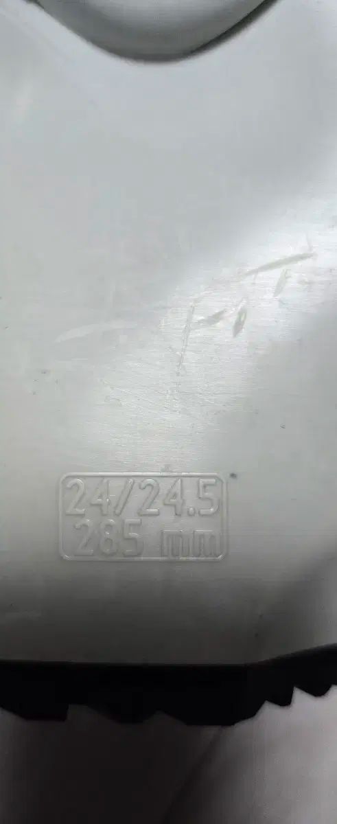 ノルディカ ドーベルマン