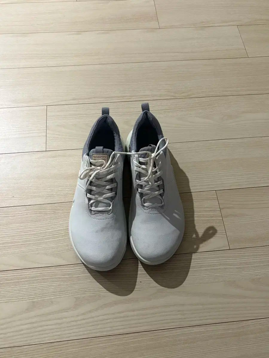 Ecco ゴルフシューズ レディース 245 38サイズ