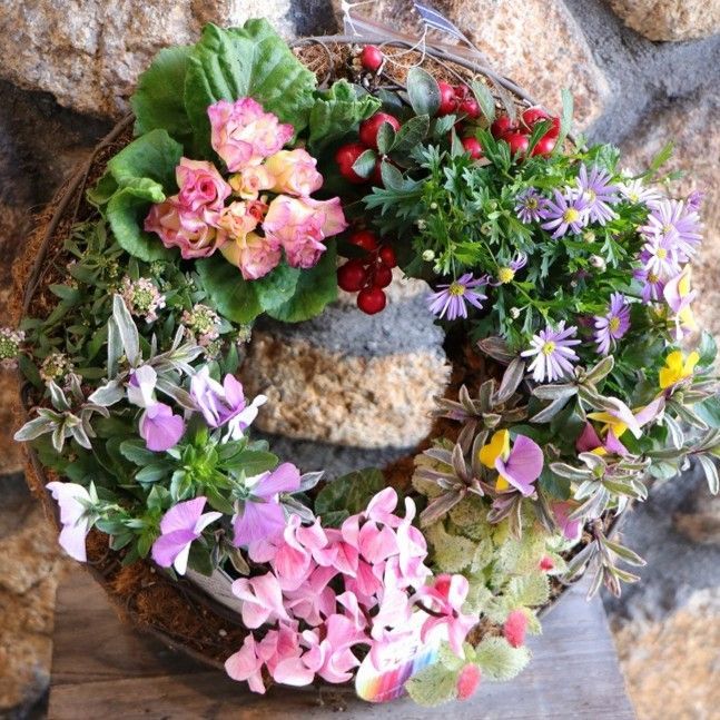 当店オリジナル ピンクガーデンのリース寄せ植え Ｍサイズ 現品２００
