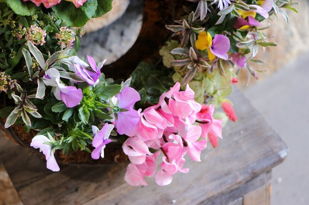 ピンクガーデンのリース寄せ植え Ｍサイズ