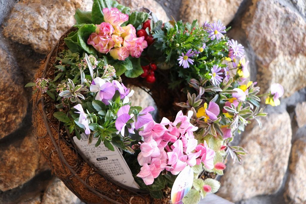 当店オリジナル ピンクガーデンのリース寄せ植え