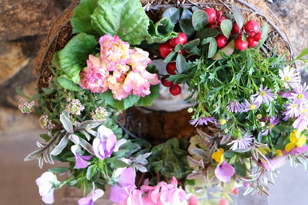 Ｍサイズ 現品２００